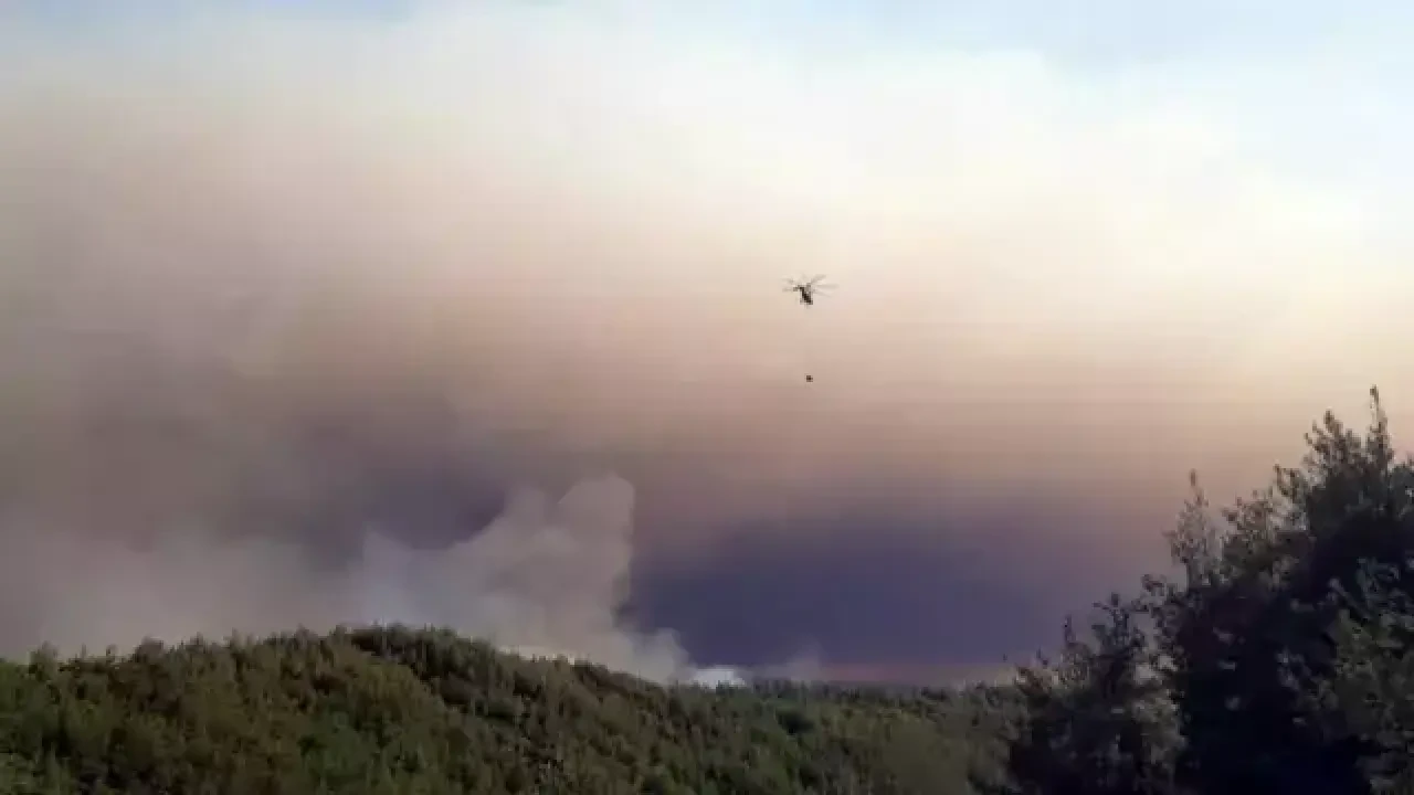 Orman yangını giderek büyüyor! Köy kül oldu, görüntüler korkunç 10