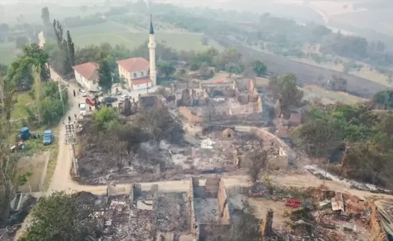 Orman yangını giderek büyüyor! Köy kül oldu, görüntüler korkunç 6