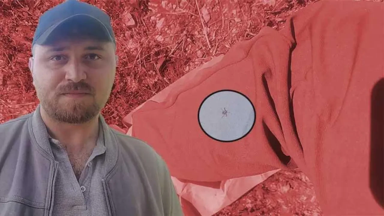 Kene kabusu devam ediyor... Keneler, köpekler gibi koku alıp üzerimize geliyor