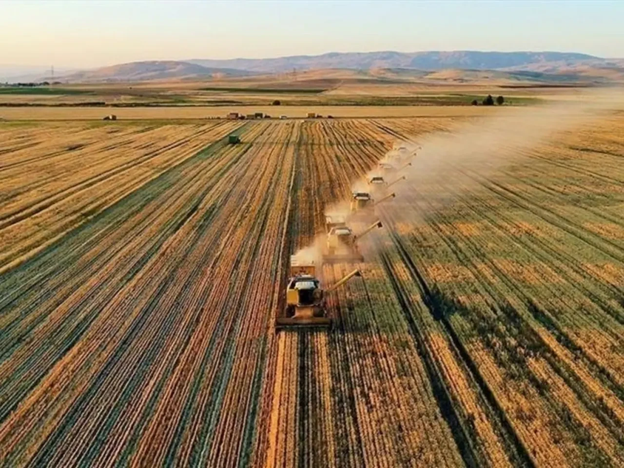 Tarımsal destekleme ödemeleri sorgulama ekranı 2025: Temmuz ayı çiftçi destek ödemeleri yattı mı, ne zaman yatacak?