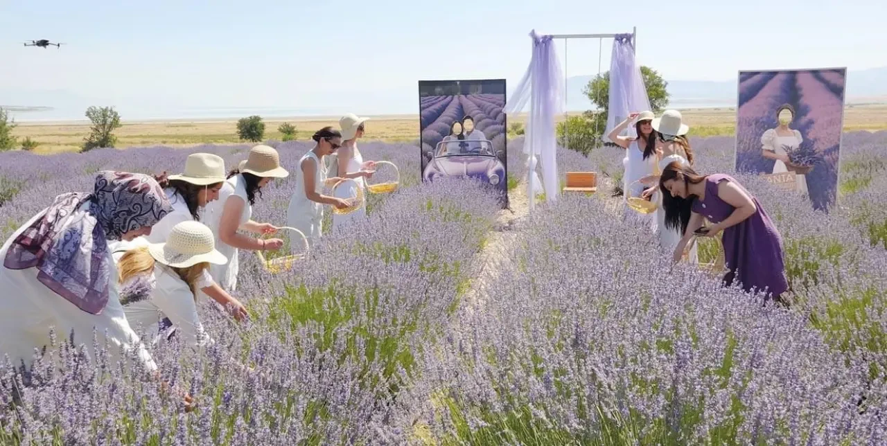 Tatilde yeni trend ‘tarım turizmi’