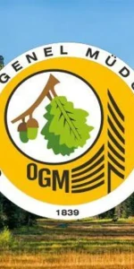 OGM işçi alımı sonuçları ne zaman açıklanacak, hangi tarihte?