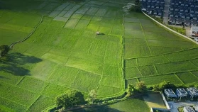Arsa-tarlada fiyat artışı yavaşladı