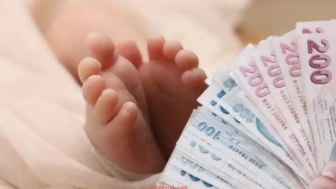 Doğum Yardımı Ödemeleri Ne Zaman Yatacak? İşte Son Durum ve Başvuru Detayları