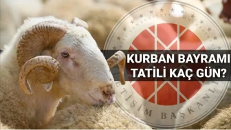 2025 Kurban Bayramı tatili kaç gün oldu?  Bayram tatili uzatıldı mı, 9 güne mi çıktı?