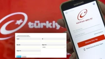 Vergi Kimlik Numarası (VKN) Nedir? Nasıl Alınır ve Sorgulanır?