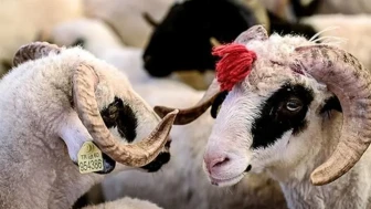 Kurban kesim vakti ne zaman başlar ve biter?