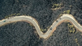 Yeşil ormanlar siyaha büründü!