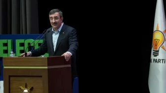 Cumhurbaşkanı Yardımcısı Yılmaz'dan enflasyon açıklaması