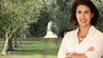 YEKÜD’den maden yasası açıklaması! ‘Zeytin ağaçları kesilmeden taşınacak’