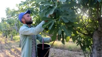 Bu işte yatılı kalana servet var! Aylık 90 bin TL maaşla işçi aranıyor