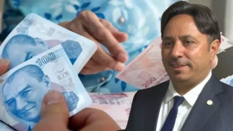 Çalışan emekliler dikkat! Emekli maaşınız kesilecek mi? İsa Karakaş son noktayı koydu