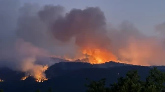 Eskişehir'de 10 orman işçisi şehit oldu