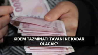 Kıdem Tazminatı Tavanında 2025 Temmuz'unda Beklenen Artış: Hesaplama Yöntemleri ve Güncel Tutarlar