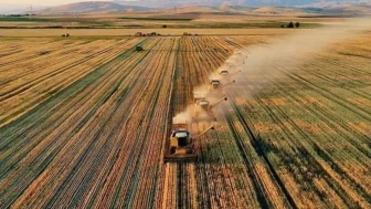 Tarımsal destekleme ödemeleri sorgulama ekranı 2025: Temmuz ayı çiftçi destek ödemeleri yattı mı, ne zaman yatacak?