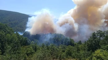 Kocaeli, Karaman, Afyonkarahisar ve Diyarbakır'da orman yangını