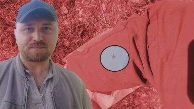 Kene kabusu devam ediyor... Keneler, köpekler gibi koku alıp üzerimize geliyor