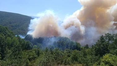 Kocaeli, Karaman, Afyonkarahisar ve Diyarbakır'da orman yangını
