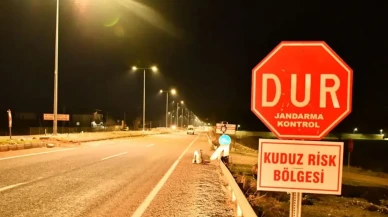 Bir ilimizde kuduz alarmı! 4 mahalle karantinaya alındı