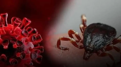 Kene kabusu can almaya devam ediyor! Bir ölüm haberi daha geldi