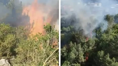 İstanbul'da orman yangını! Aydos'tan alevler yükseldi