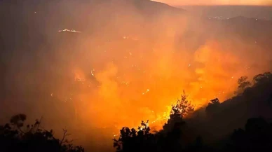 İki ilimizde yangın alarmı: 21 ev boşaltıldı