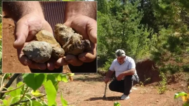 Fiyatı gram altınla yarışıyor! Toprak altından çıkarıp satıyorlar