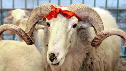 Kurban Bayramı tatili kaç gün oldu? 2025 Bayram tatili ne zaman başlıyor ve bitiyor, uzatıldı mı, 9 gün mü?