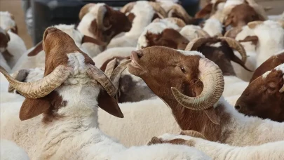 Kurban Bayramı tatili kaç gün 2025? Kurban Bayramı tatili birleşecek mi 2025? Kurban Bayramı 1. günü ne zaman? Kurban Bayramı birinci günü ne zaman?