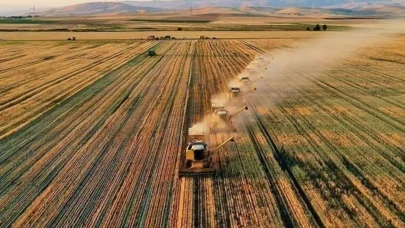 Tarımsal destekleme ödemeleri sorgulama ekranı 2025: Temmuz ayı çiftçi destek ödemeleri yattı mı, ne zaman yatacak?