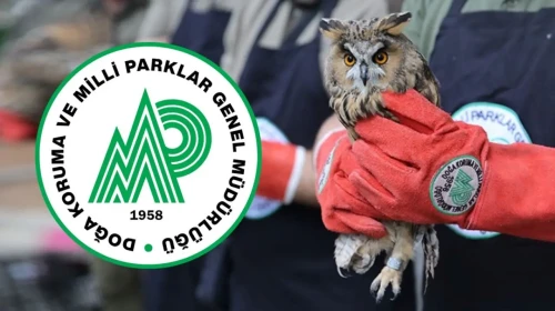 Doğa Koruma ve Milli Parklar Genel Müdürlüğü 240 personel alımı 2025: DKMP başvurusu nasıl yapılır, şartlar neler?