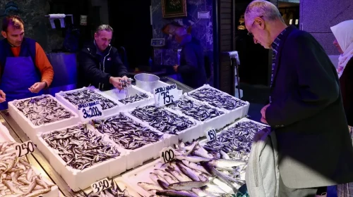 Hamsi çıktığı zaman  bütün balıklar susar! Fiyatlar iyice düştü