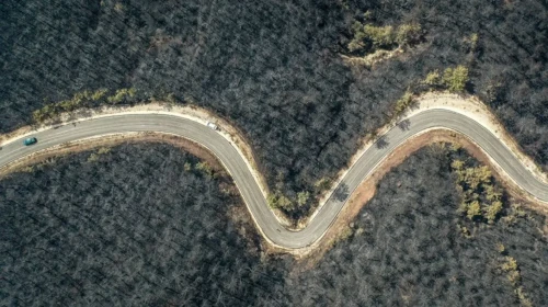 Yeşil ormanlar siyaha büründü!