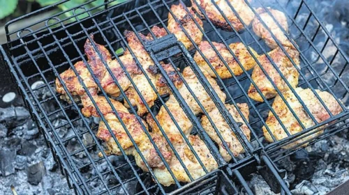 Mangal yasağı tavuğu vurdu