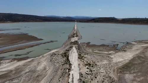 Kuraklık alarmı! Eski kara yolu ortaya çıktı