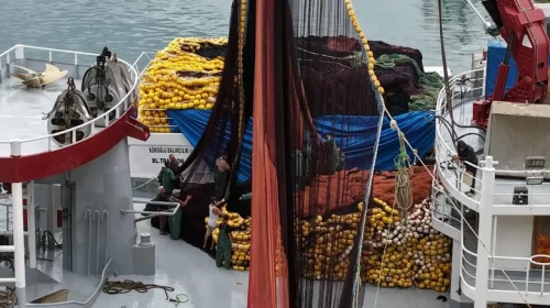 Av Yasağı Sona Erdi: Balıkçılar 1 Eylül İçin Hazırlıklarını Tamamlıyor!