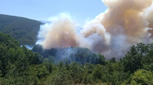 Kocaeli, Karaman, Afyonkarahisar ve Diyarbakır'da orman yangını