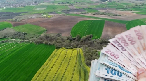 Tarımda yeni dönem! Tapulu araziler sahibine sorulmadan kiraya verilecek: Uygulama resmen başladı