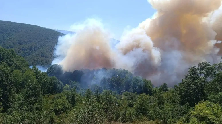 Kocaeli, Karaman, Afyonkarahisar ve Diyarbakır'da orman yangını